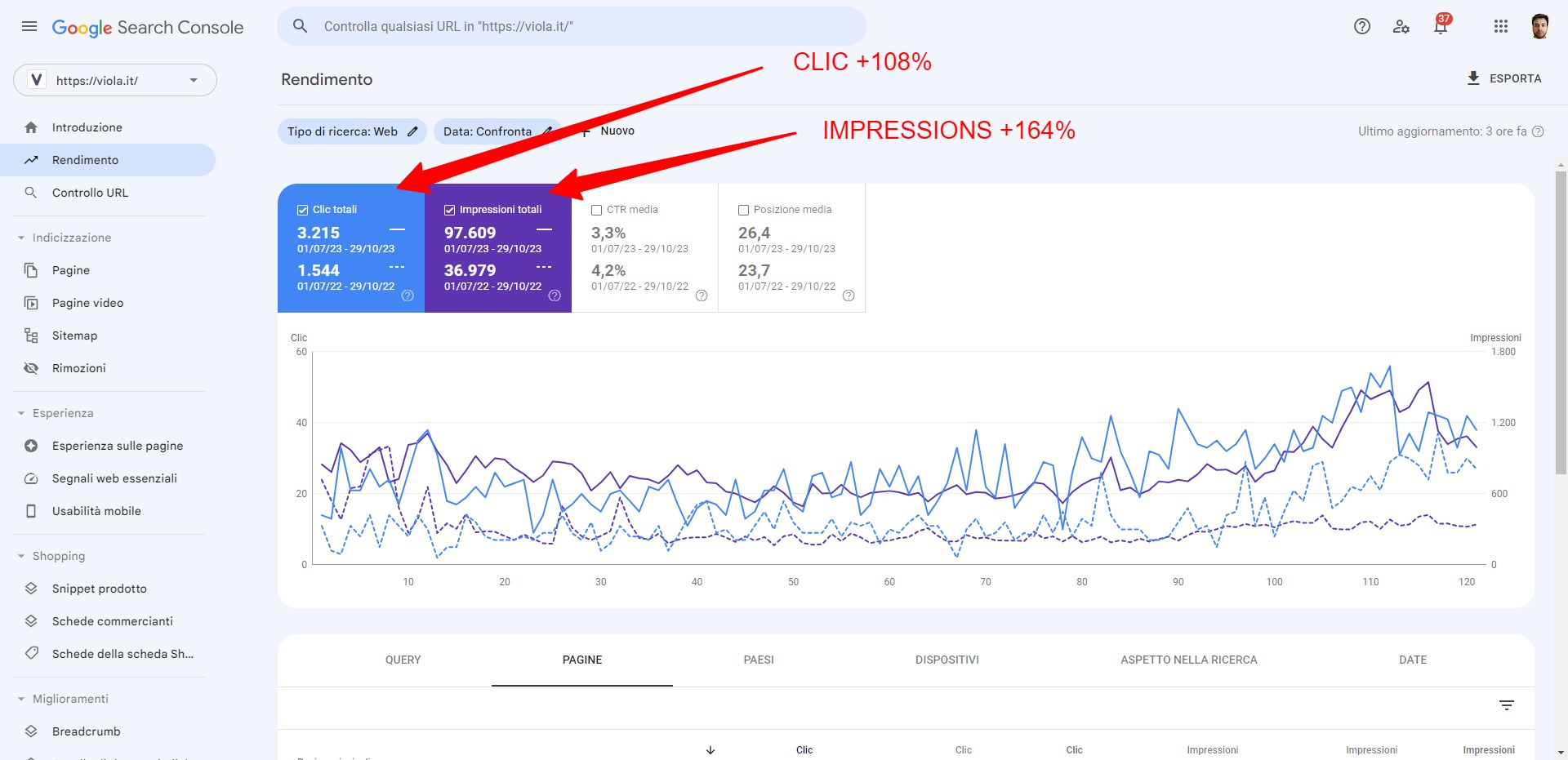 grafico risultati ottenuti da Viola con il nostro piano SEO